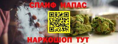 прущие грибы Бийск