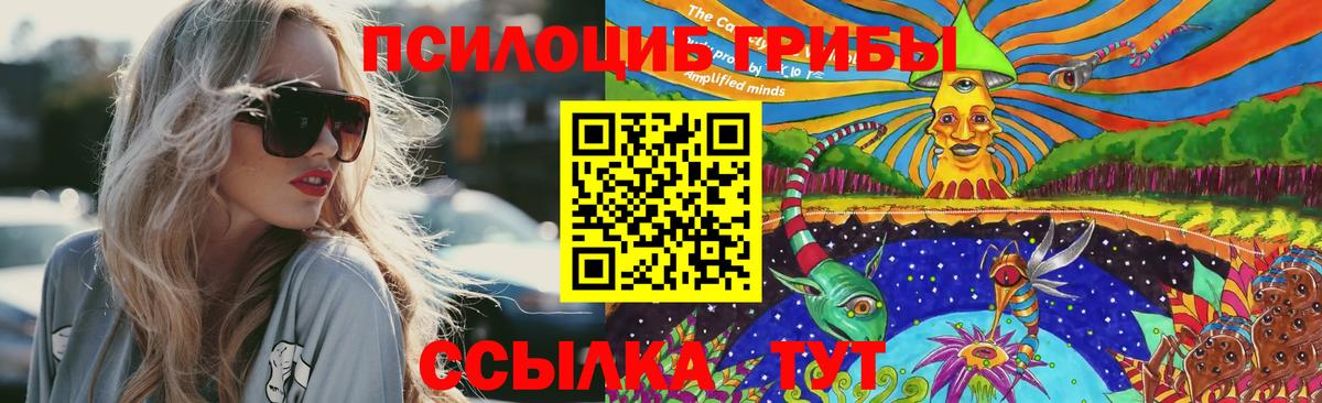 Псилоцибиновые грибы Psilocybine cubensis Ивантеевка