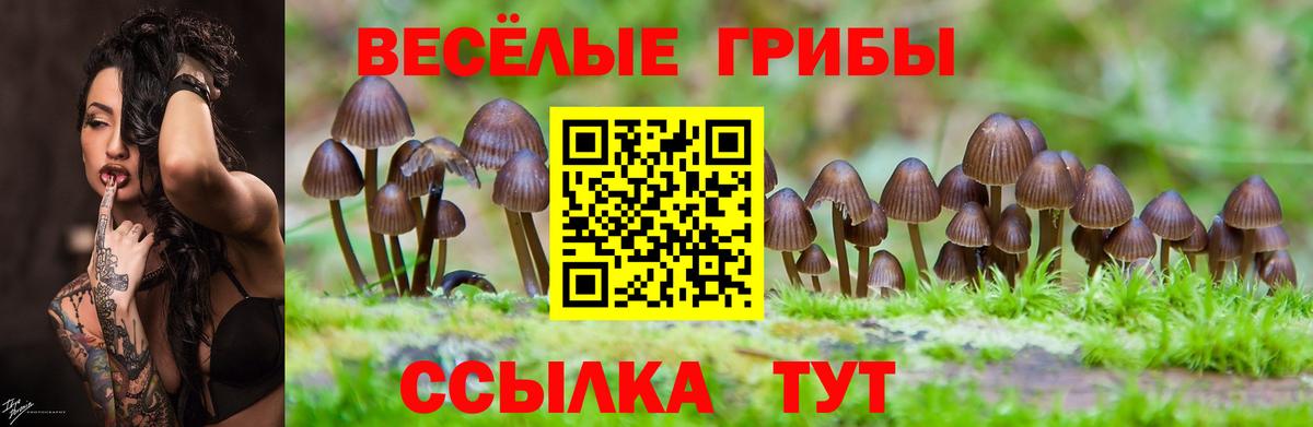 Галлюциногенные грибы GOLDEN TEACHER  Вход с VPN  Галлюциногенные грибы мухоморы  Ивантеевка 